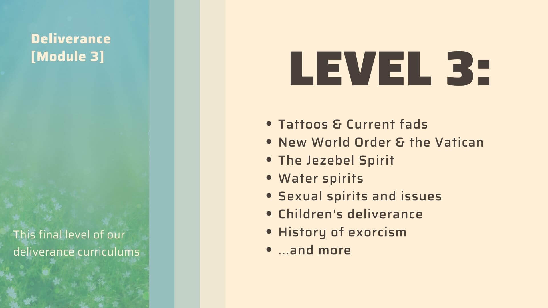 Level 3 curriculum-2